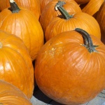 pumpkins (2)